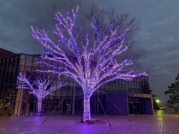 写真：イルミネーション「Tobishima Lights」