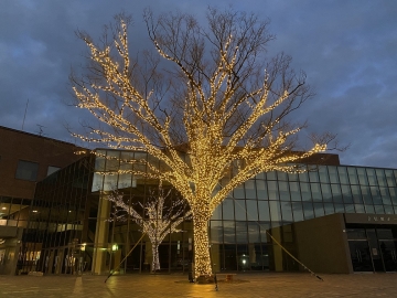 写真：イルミネーション「Tobishima Lights」