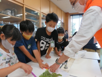 写真：飛島学園　SDGｓをテーマにした縦割り「なかよし会」・SDGs出前授業