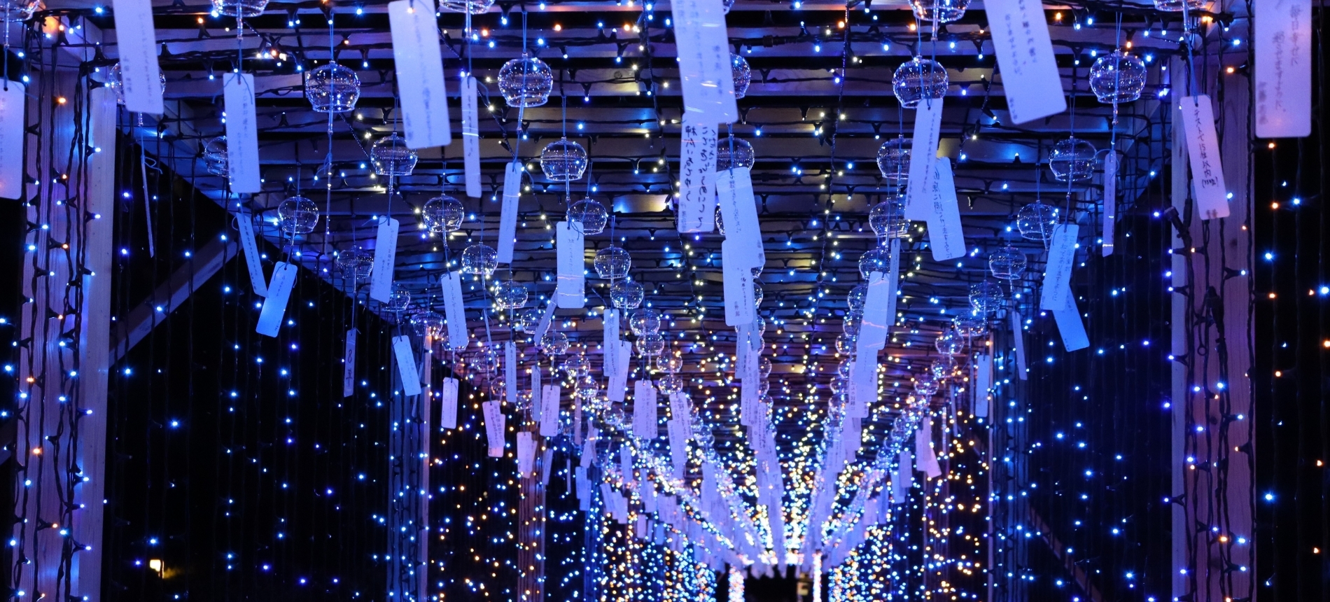 写真：宵あかり