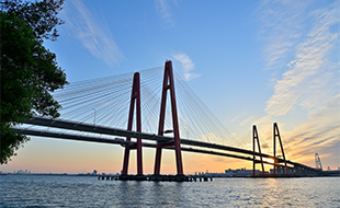 代替テキストなし