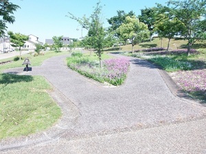 写真:ウォーキングコース