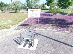 写真:コース内運動機器1