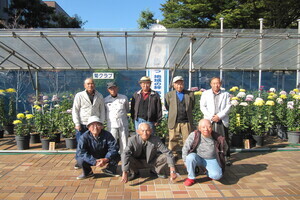 写真:菊クラブのみなさん