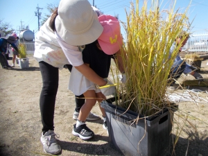 写真:令和7年度の活動の様子3
