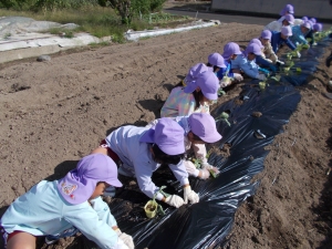 写真:令和7年度の活動の様子1