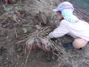 写真:令和7年度の活動の様子2