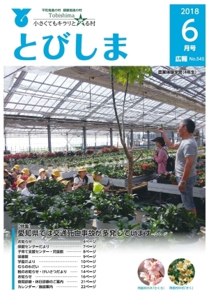 写真:広報とびしま平成30年6月号表紙