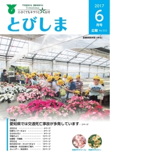 写真:広報とびしま平成29年6月号表紙