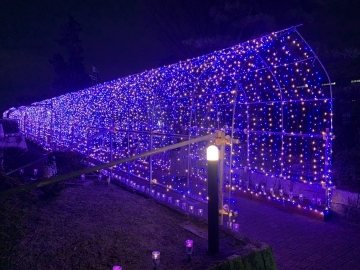 写真：イルミネーション「Tobishima Lights」2