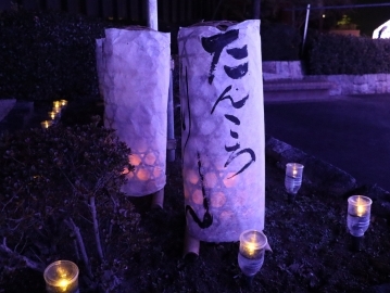 写真：イルミネーション「Tobishima Lights」5