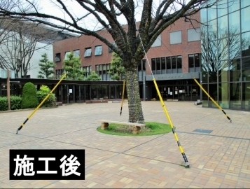 写真：中央公民館玄関前　欅の支柱カバー寄付　施工後