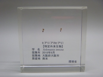 写真：名古屋港におけるヒアリ対策に関する意見交換会2